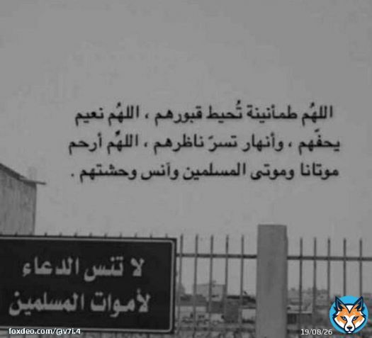 #يوسف_السالم