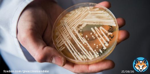 'Deadly fungal infection spreading at an alarming rate, CDC says' - via @nbcnews  #fungus #CAuris #Candidaauris