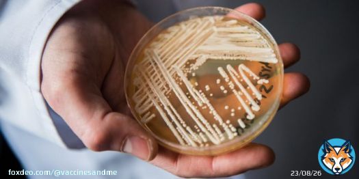 'Deadly fungal infection spreading at an alarming rate, CDC says' - via @nbcnews  #fungus #CAuris #Candidaauris