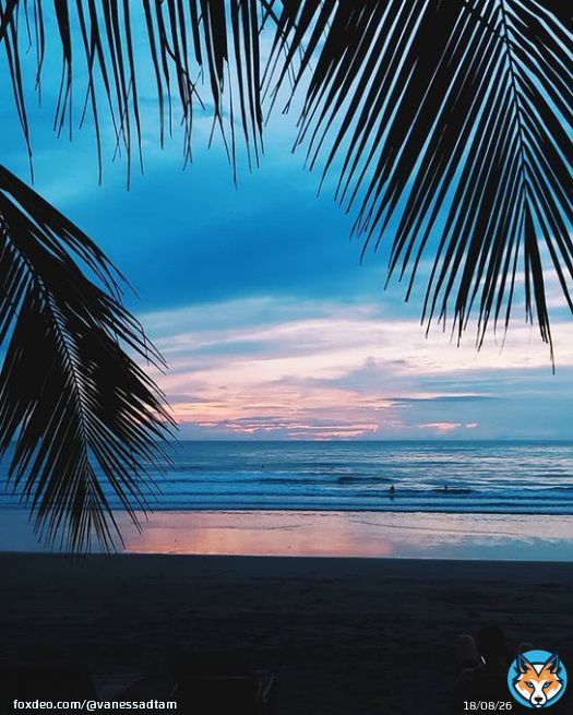 (Back to the) Playa, please  // Help ya girl get to @powwowphoto July 21-28th thru the link in my bio! Thank you for the continued love and support #panama #playavenao #selinaplayavenao #selinathenomad