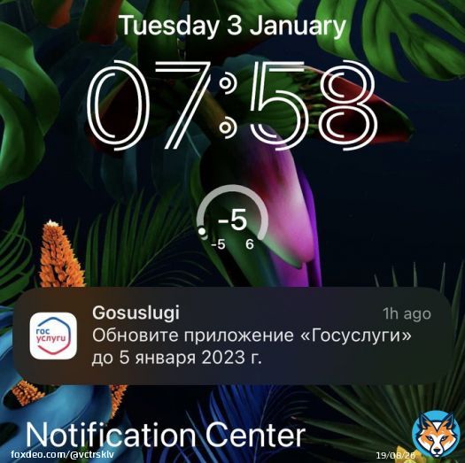 Не хочу нагнетать, но, кажется, 5 января случится что-то, после чего приложение ГосУслуги будет нельзя обновить в AppStore
