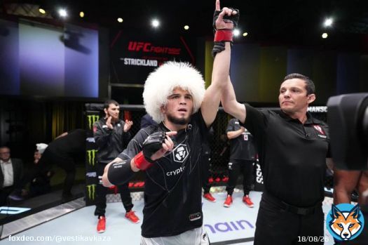Дагестанец Умар Нурмагомедов впервые в UFC победил соперника нокаутом