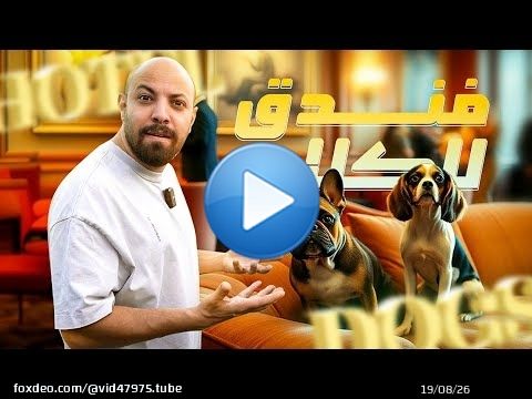 اغلى فندق كلاب في مصر DOGS HOTEL