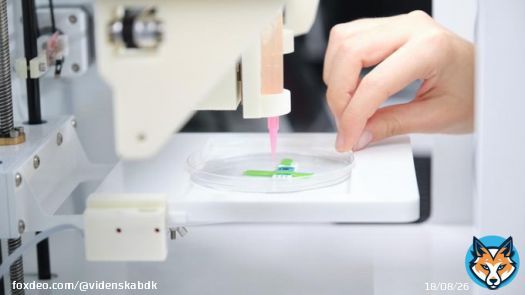 3D-printet biologi skal bek&aelig;mpe overgangsalderen: PODCAST: En 3D-printet 'tepose' med hormonproducerende v&aelig;v indeni kan m&aring;ske g&oslash;re svedeture, hum&oslash;rsvingninger og mere alvorlige bivirkninger ved overgangsalderen til forortid.  #dktech #dkvid #dkforsk