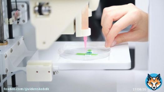 3D-printet biologi skal bek&aelig;mpe overgangsalderen: PODCAST: En 3D-printet 'tepose' med hormonproducerende v&aelig;v indeni kan m&aring;ske g&oslash;re svedeture, hum&oslash;rsvingninger og mere alvorlige bivirkninger ved overgangsalderen til forortid.  #dktech #dkvid #dkforsk