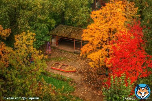 Осень в Перми  автор фото Владимир Ипатов