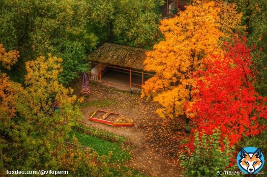 Осень в Перми  автор фото Владимир Ипатов