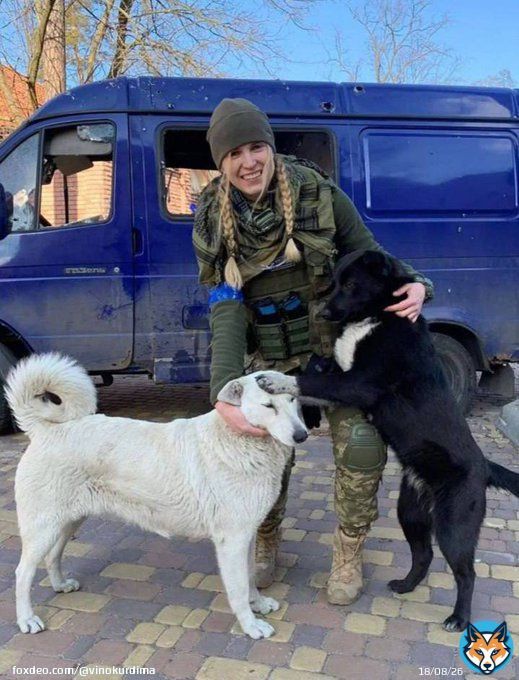 With a combat medic - combat dogs)##UkraineWar #SlavaUkraine #StopRussia #RussiaUkraineWar #StandWithUkraine