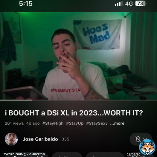 watching a nintendo ds yyoutube video from a guy with 335 subs and thid mf just started smoking a joint