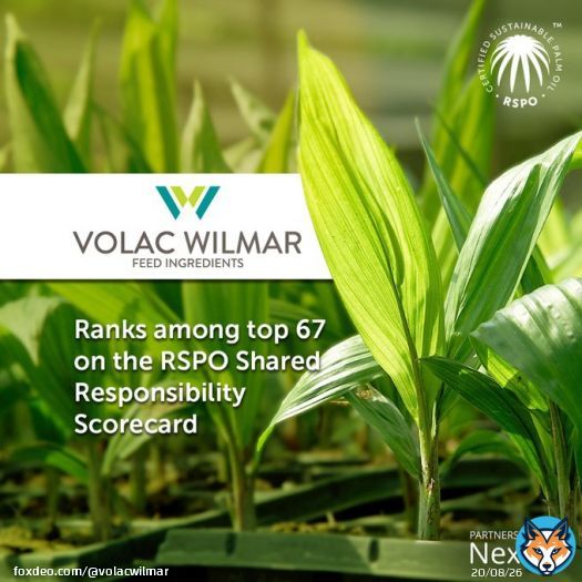 We're proud to have received an 8.5 in the #RSPO Shared Responsibility Scorecard, highlighting our commitment to sustainable palm oil.  Learn more:   #SustainablePalmOil #VolacWilmar