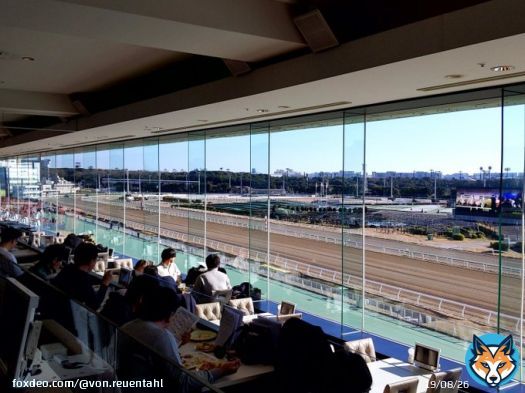 #ダイヤモンドターン で東京大賞典！  頑張れライトウォーリア！  #東京大賞典&nbsp;#大井競馬場&nbsp;#ライトウォーリア&nbsp;#一口馬主&nbsp;#キャロットクラブ