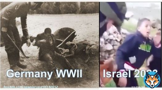 Now, can you see the similarity between how German guards in WWII treated prisoners as toys for their vicious dogs to attack and how the Israeli Zionist military in 2023 treat Palestinians  #BDS #IsraeliApartheid