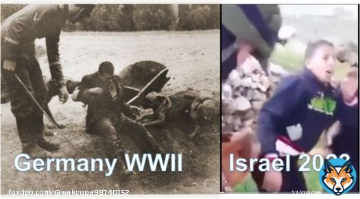 Now, can you see the similarity between how German guards in WWII treated prisoners as toys for their vicious dogs to attack and how the Israeli Zionist military in 2023 treat Palestinians  #BDS #IsraeliApartheid