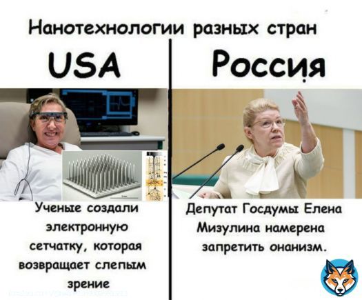Ударим по нанотехнологиям запретом онанизма,- депутат гд рф мизулина