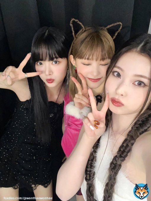4TH GEN CAT LINE, 4TH GEN 06 LINE NMIXX KYUJIN, NEW JEANS HAERIN, LE SSERAFIM EUNCHAE OUR 4TH GEN FELINES
