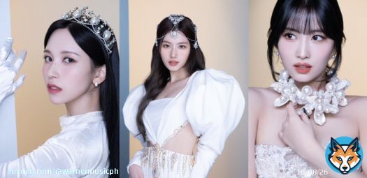 three branches of government: MiSaMo  #TWICE&nbsp;&nbsp; #MiSaMo #MINA #SANA #MOMO @JYPETWICE_JAPAN