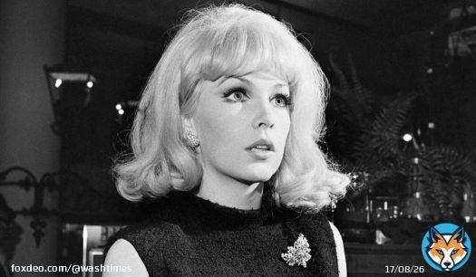 Stella Stevens, a prominent leading lady in 1960s and 70s comedies perhaps best known for playing the object of Jerry Lewis's affection in 'The Nutty Professor,' has died. She was 84.