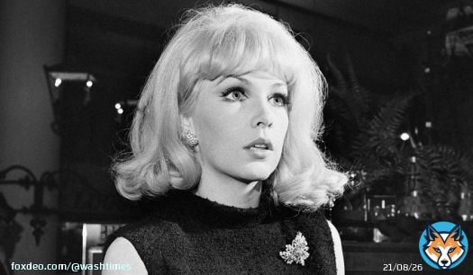 Stella Stevens, a prominent leading lady in 1960s and 70s comedies perhaps best known for playing the object of Jerry Lewis's affection in 'The Nutty Professor,' has died. She was 84.