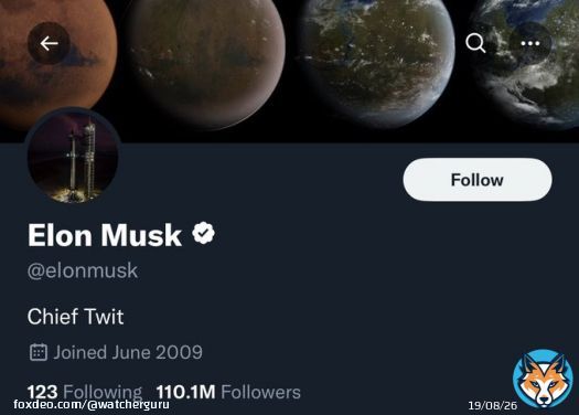 JUST IN: Elon Musk updates Twitter bio to 'Chief Twit'