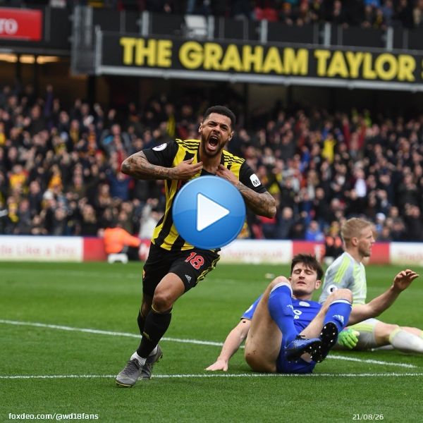 #OnThisDay 4 years ago, a last minute Andre Gray winner gave Watford the 3 points against Leicester City at the Vic!   #WatfordFC