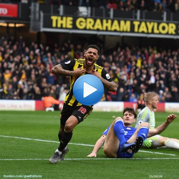 #OnThisDay 4 years ago, a last minute Andre Gray winner gave Watford the 3 points against Leicester City at the Vic!   #WatfordFC