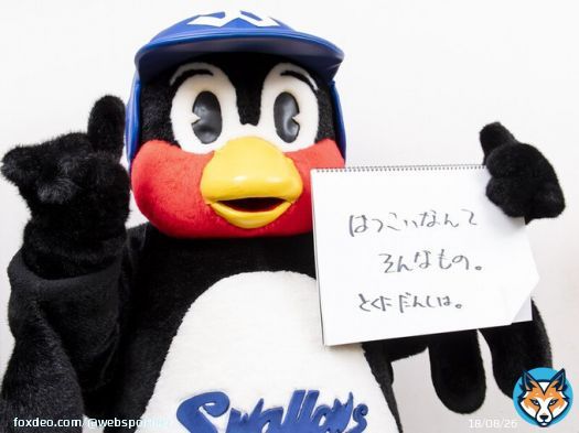 「初恋が忘れられません」  #東京ヤクルトスワローズ のマスコット、 #つば九郎 が読者の悩みに答える人生相談。つば九郎節全開の回答とは？ @swallowspr