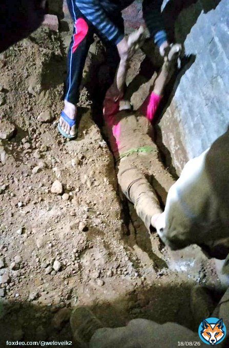 Shame on you Indian RSS Govt. You have started this fire in the name of love jihad.A girl who willingly marries a Muslim boy is brutally killed Indians do not talk about Taliban stop your extremists.Who have distorted the democratic face of India #AVLLIV #HappyBirthdaySalmanKhan