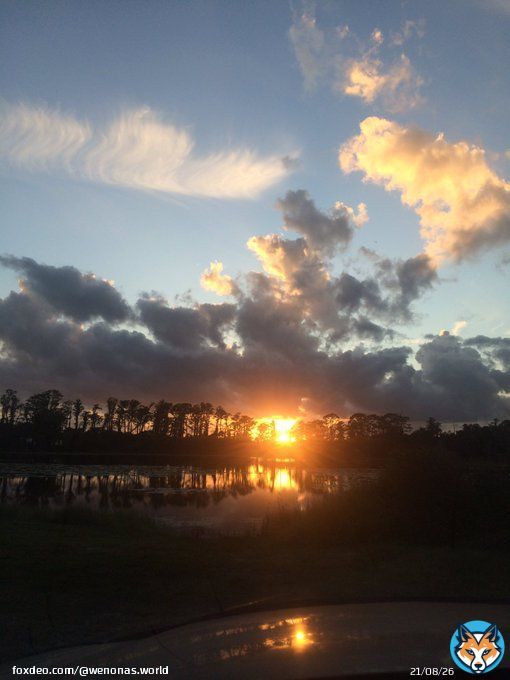 Enjoying a beautiful sunset in Florida