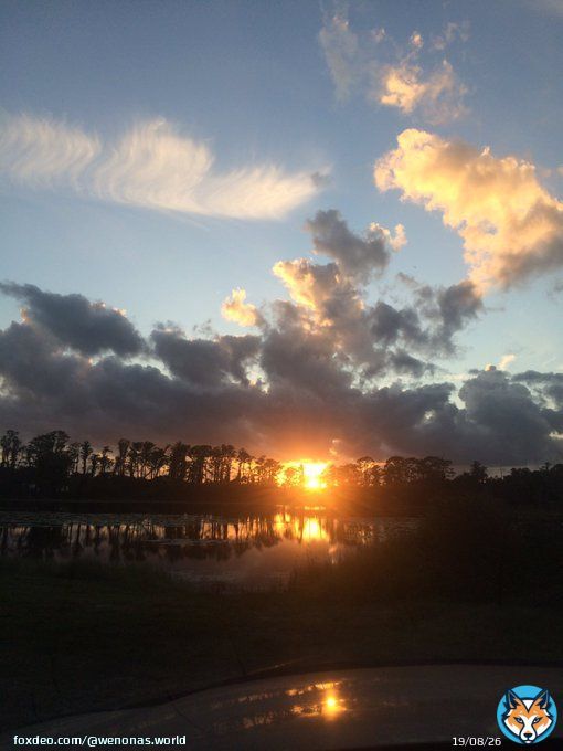 Enjoying a beautiful sunset in Florida