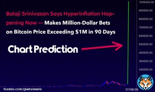 BREAKING: Balaji Srinivasan Says Hyperinflation Happening Now, and Makes Million-Dollar Bets on #Bitcoin Price Exceeding $1,000,000 in 90 Days.  Srinivasan is an angel investor, tech founder, and a Wall Street Journal bestselling author. He was also the former CTO of Coinbase and&hellip;