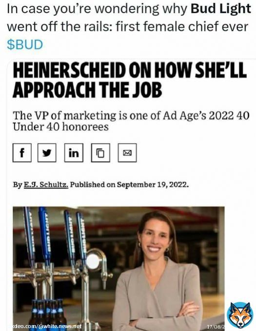 A female jew took over Budweiser as CEO? Well then it's all starting to make sense.