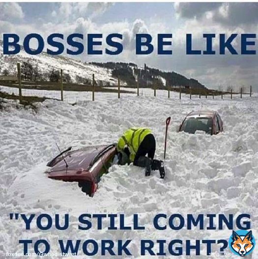 News telling everyone to stay off the road due to hazardous conditions from this Winter Storm. Yet, some off us have to make it to work because #ONStorm