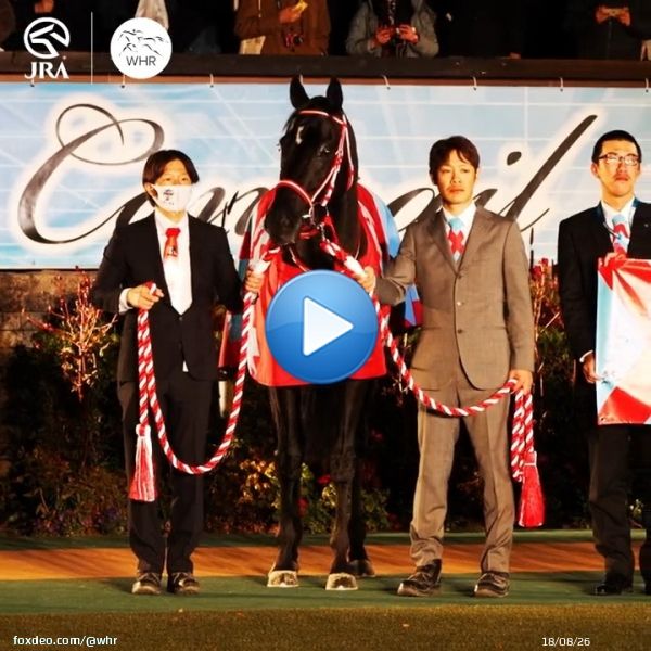 How was this 12 months ago?!   Superstar CONTRAIL retires a winner in the JAPAN CUP    #JapanCup #コントレイル #競馬 #ジャパンカップ