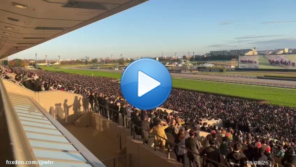 If Tokyo Racecourse wasn't on your bucket list yet...    Thousands watch Vela Azul under Ryan Moore out finish Shahryar and Weltreisende in the 2022 #JapanCup   #ヴェラアズール #ジャパンカップ