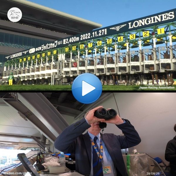 Watch Murray Johnson call a thrilling finish in the 2022 #JapanCup!    Vela Azul rushes to the front, besting Shahryar and Weltreisende at the last second   ヴェラアズール、 ジャパンカップで優勝!  #ジャパンカップ