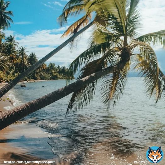 Paradise \ud83c\udf34 &bull; &bull; &bull;  #centralamericatrip  #centralamericatravel  #centralamerica  #panama  #panam&aacute;  #panamatravel  #bocasdeltoro  #bocasdeltoropanama  #bocasdeltoro\ud83c\udf34  #solotravel  #solotraveler  #sologirltraveravel