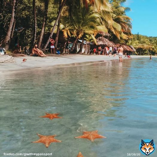 Starfish \u2b50 &bull; &bull; &bull;  #centralamericatrip  #centralamericatravel  #centralamerica  #panama  #panam&aacute;  #panamatravel  #bocasdeltoro  #bocasdeltoropanama  #bocasdeltoro\ud83c\udf34  #solotravel  #solotraveler  #sologirltravel