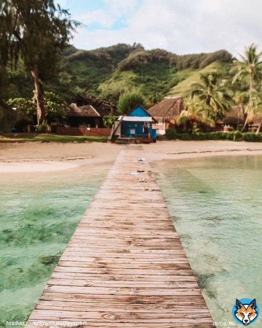 The way of paradise \ud83e\udd65...#pacificocean #pacific #southpacific #southpacificislands #southpacificocean #frenchpolynesia #frenchpolynesianislands #moorea #mooreaisland #worldcruise2023 #worldcruise #mscmagnifica #msccruises #girlswhotravel #d#dametraveler #dametraveller