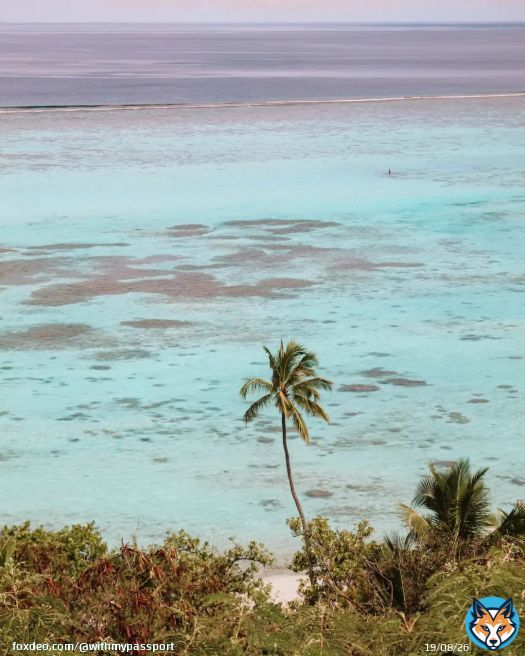 Somewhere \ud83c\udf34...#pacificocean #pacific #southpacific #southpacificislands #southpacificocean #frenchpolynesia #frenchpolynesianislands #moorea #mooreaisland #worldcruise2023 #worldcruise #mscmagnifica #msccruises #girlswhotravel #dametraveleler #dametraveller