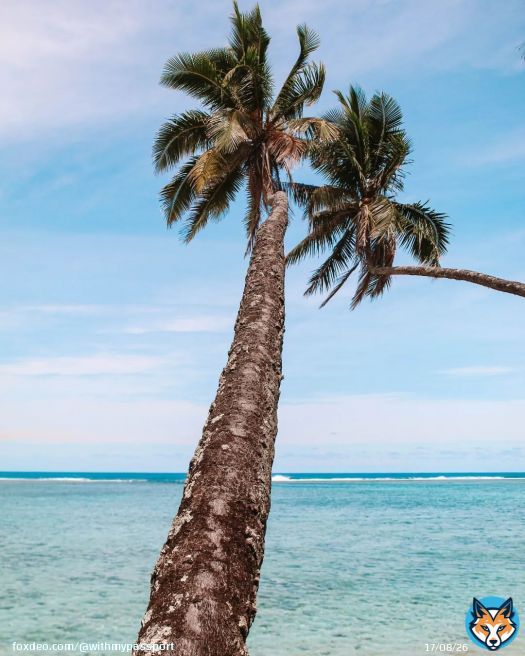 It's definitely ones of the most beautiful islands I saw in my life \ud83d\udca6...#pacificocean #pacific #southpacific #southpacificislands #southpacificocean #cookislands #cookisland #cookislandstourism #rarotonga #worldcruise2023 #worldcruise e #mscmagnifica #msccruises #girlswhotravel #dametraveler #dametraveller