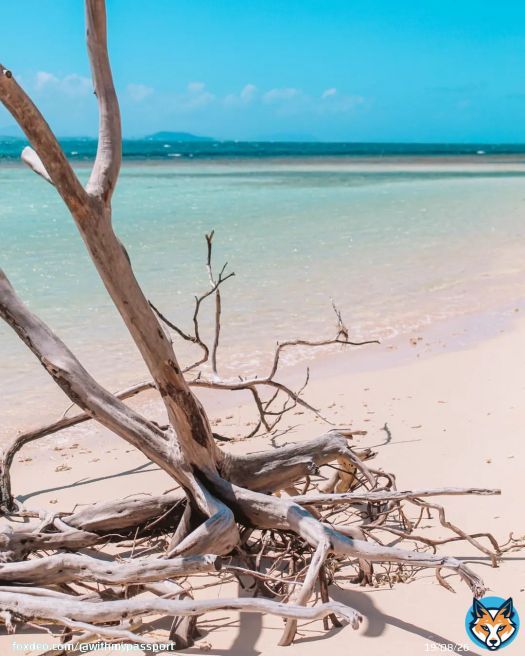 Natural pool \ud83d\udca6...#pacificocean #pacific #southpacific #southpacificislands #newcaledonia #noumea #noum&eacute;a #noumeanewcaledonia #noumealife #newcaledoniatourism #newcaledonia\ud83c\uddf3\ud83c\udde8 #newcaledonialife #worldcruise2023 #2023 #worldcruise #mscmagnifica #msccruises #girlswhotravel #dametraveler #dametraveller
