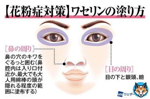 <ワセリンで花粉症対策> 鼻や目に入りそうになる花粉をベタベタがくっつけて入れないようにする、そんな対策があります。 毒性も低く、唇や口の中にすら使える物で、安全性はかなり高いと考えられます。 「試す価値はある」くらいの気持ちでやってみては?