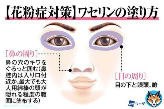 <ワセリンで花粉症対策> 鼻や目に入りそうになる花粉をベタベタがくっつけて入れないようにする、そんな対策があります。 毒性も低く、唇や口の中にすら使える物で、安全性はかなり高いと考えられます。 「試す価値はある」くらいの気持ちでやってみては?