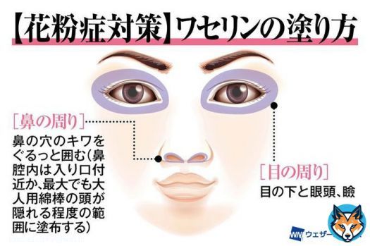 ＜ワセリンで花粉症対策＞ 鼻や目に入りそうになる花粉をベタベタがくっつけて入れないようにする、そんな対策があります。  毒性も低く、唇や口の中にすら使える物で、安全性はかなり高いと考えられます。  「試す価値はある」くらいの気持ちでやってみては？