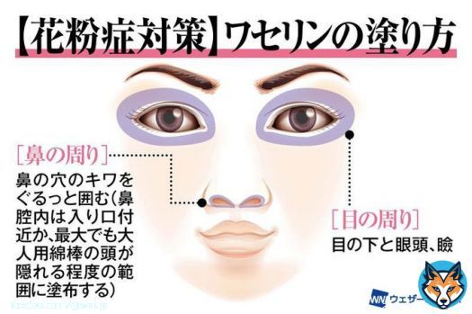 <ワセリンで花粉症対策> 鼻や目に入りそうになる花粉をベタベタがくっつけて入れないようにする、そんな対策があります。 毒性も低く、唇や口の中にすら使える物で、安全性はかなり高いと考えられます。 「試す価値はある」くらいの気持ちでやってみては?