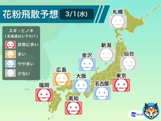 <今日も花粉大量飛散か> 今日も気温が上がる影響で、関東から西の地域では花粉が多く飛び、特に関東では、昨日に続いて大量飛散のおそれがあります。花粉症の方は対策を万全に行うことをおすすめします。 九州などは雨が降り出すと花粉の飛散は少し抑えられそうです。