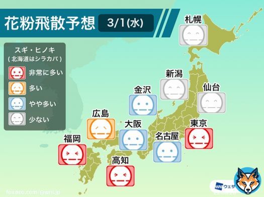 <今日も花粉大量飛散か> 今日も気温が上がる影響で、関東から西の地域では花粉が多く飛び、特に関東では、昨日に続いて大量飛散のおそれがあります。花粉症の方は対策を万全に行うことをおすすめします。 九州などは雨が降り出すと花粉の飛散は少し抑えられそうです。