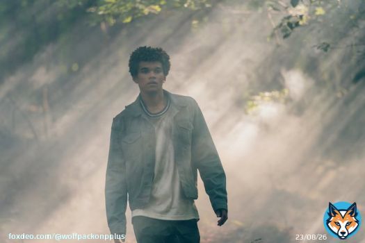 'Because we're all here, all together. Under the moon.' #wolfpackseries