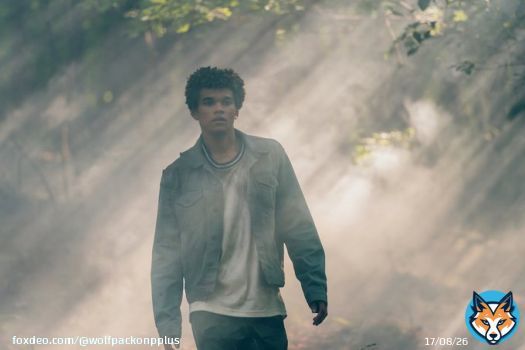 'Because we're all here, all together. Under the moon.' #wolfpackseries