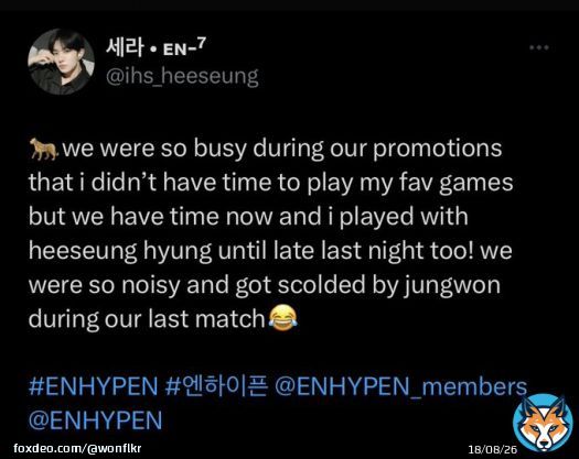 I always wonder how did jungwon scold ni-ki and heeseung